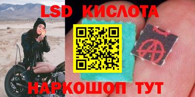 ГАЛЛЮЦИНОГЕННЫЕ ГРИБЫ Бузулук