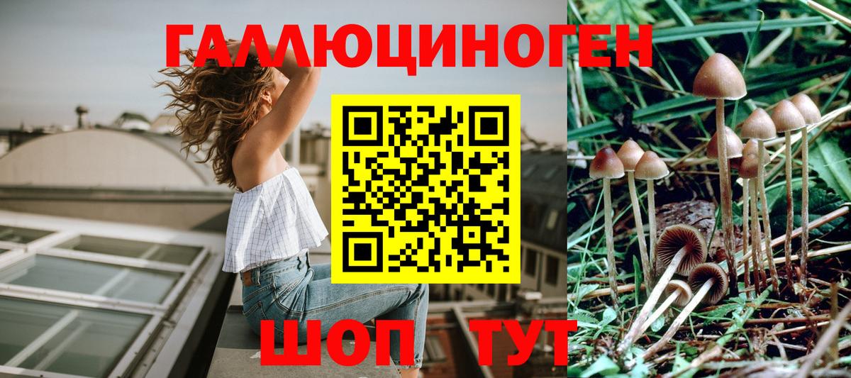 Галлюциногенные грибы мицелий Находка